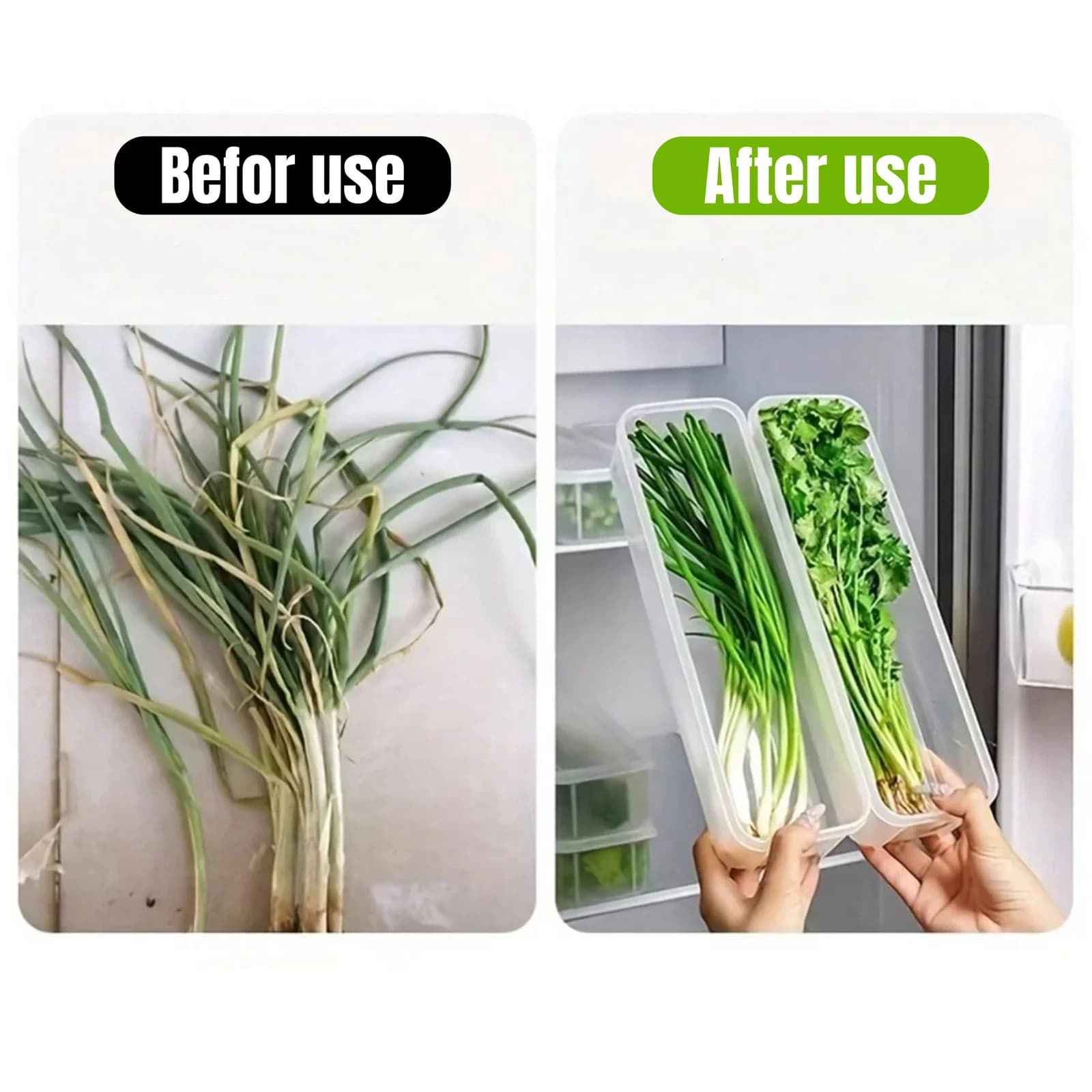 1/2/4Pcs Refrigerator Storage Boxes With Lid Plastic Fresh Keeping Box Kitchen Scallions Cilantro Eggs Noodles Sealed Container